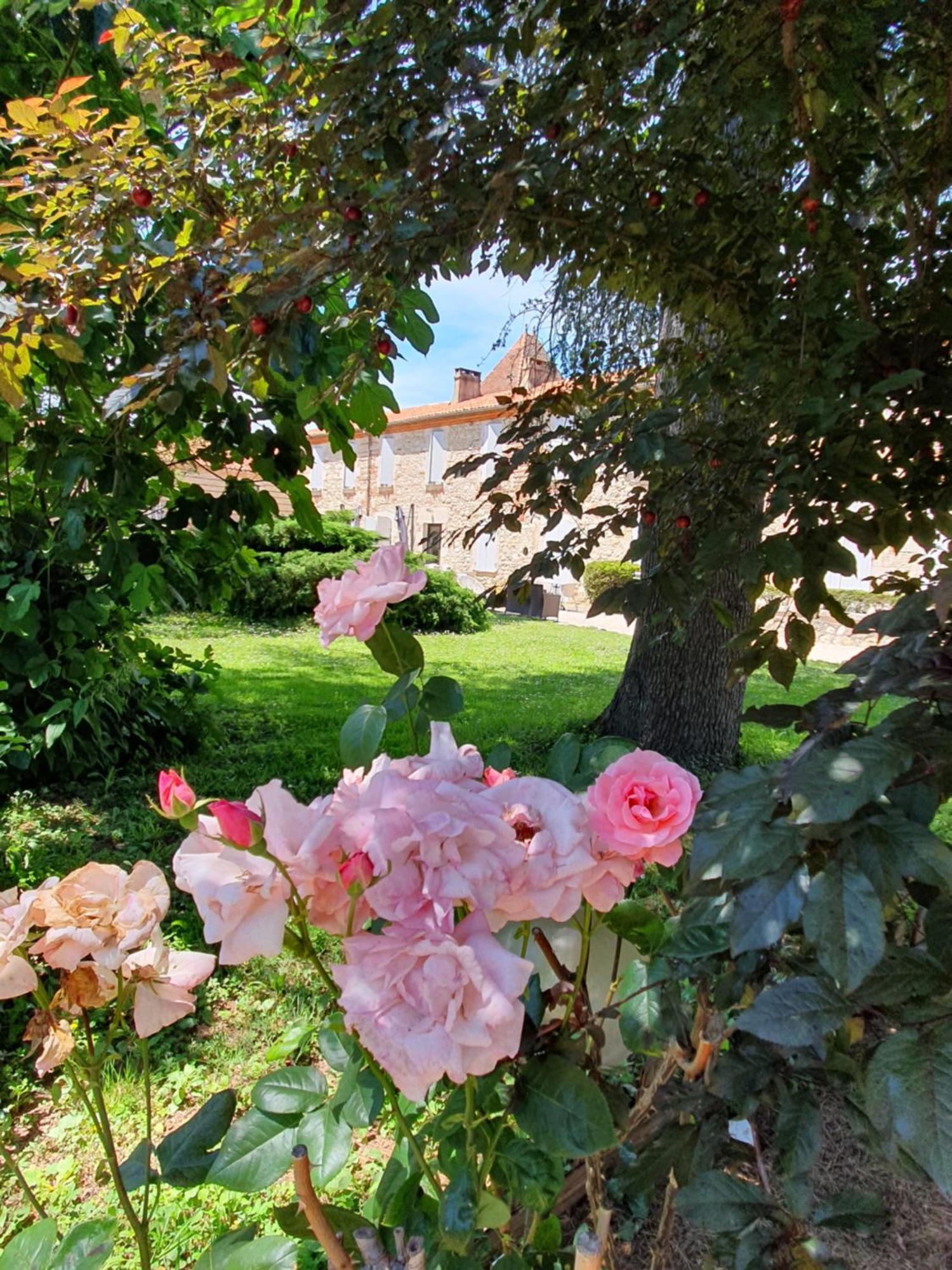 Logis Hotel Le Prince Noir Sérignac-sur-Garonne Exterior foto
